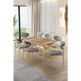 Canisa Concept Olya Serisi 90X168 Lak Panel Hazar Masa Takımı Gold Ayaklı 6 Gri Sandalye