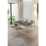 Canisa Concept Olya Serisi 90X168 Mdf Sabit Lak Panel Antrasit İroni Masa Takımı Krom Ayaklı 4 Gri Sandalye