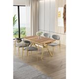 Canisa Concept Olya Serisi 90X168 Mdf Sabit Lak Panel Hazar Masa Takımı Gold Ayaklı 4 Gri Sandalye