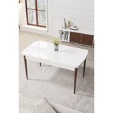 Canisa Concept Par Serisi, 70 x 114 Cm, Açılabilir Mdf Mutfak Masası, Yemek Masası - Renkli