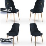Canisa Concept Pare Serisi, 1.sınıf Babyface Ithal Kumaş 4 Sandalye, Doğal Ahşap Ayak Gold Halkalı - Antrasit - Ayak Doğal Ahşap Kafes Beyaz