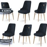 Canisa Concept Pare Serisi Babyface Ithal Kumaş 6 Sandalye Doğal Ahşap Ayak Gold Halkalı - Antrasit - Doğal Ahşap Beyaz Kafes