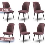 Canisa Concept Platinum Serisi Üst Kalite Mutfak Sandalyesi Metal Siyah Iskeletli 6 Adet Sandalye - Gülkurusu