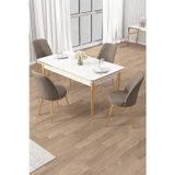 Canisa Concept Rewa Serisi 70X110 Sabit Beyaz Gold Detay Masa Takımı Ve 4 Cappucino Sandalye