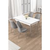 Canisa Concept Rewa Serisi 70X110 Sabit Beyaz Krom Detay Masa Takımı Ve 4 Gri Sandalye