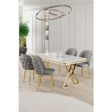 Canisa Concept Rigel Serisi 80X130 Lak Panel Beyaz Mermer Desen Masa Takımı Gold Ayaklı 4 Gri Sandalye