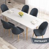 Canisa Concept Roz Serisi 80X132 Mdf Beyaz Mutfak Masa Takımı Doğal Ahşap Ayak Beyaz Kafes 6 Sandalye Gold Halka - Antrasit