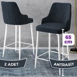 Canisa Concept Tera Serisi, Mutfak Bar Sandalyesi, Babyface Kumaş, Beyaz Metal Ayak, 2 Adet Sandalye - Antrasit - Ayaklar Beyaz