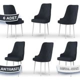 Canisa Concept Trex Serisi Babyface Kumaş Beyaz Metal Ayak 6 Adet Sandalye - Antrasit