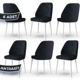 Canisa Concept Tura Serisi 6 Adet Mutfak Sandalyesi Metal Beyaz Ayaklı 1. Sınıf Babyface Kumaş - Ahşap