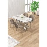 Canisa Concept Zae Serisi 90X168 Lak Panel Beyaz Mermer Desen Krom Ayak Masa Takımı 4 Cappucino Sandalye