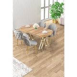 Canisa Concept Zae Serisi 90X168 Lak Panel Hazar Gold Ayak Masa Takımı 4 Gri Sandalye