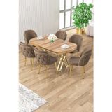 Canisa Concept Zae Serisi 90X168 Lak Panel Hazar Gold Ayak Masa Takımı 6 Kahve Sandalye