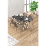 Canisa Concept Zae Serisi 90X168 Lak Panel Siyah Mermer Desen Krom Ayak Masa Takımı 4 Cappucino Sandalye