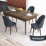 Canisa Elf Serisi 80x132 Açılabilir Barok Ahşap Desen Masa Takımı ve 4 Adet Antrasit Sandalye