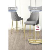 Canisa Enox Serisi 2 Adet Gri Mutfak Bar Sandalyesi Babyface Kumaş Gold Kaplama Metal Ayak
