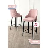 Canisa Enox Serisi 2 Adet Pembe Bar Sandalyesi, Babyface Kumaş, Siyah Metal Ayak, 71 cm 21-ENOXSYH02