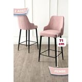 Canisa Enox Serisi 2 Adet Pembe Sandalye Mutfak Bar Sandalyesi, Babyface Kumaş, Siyah Metal Ayak ,