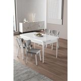 Canisa Exve Serisi 80x132 cm Açılabilir Beyaz Masa Takımı, 4 Gri Sandalye