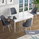 Canisa Han Serisi 70x114 Açılabilir Mdf Beyaz Masa Takımı ve 4 Adet Füme Sandalye
