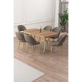 Canisa Jita Serisi 90x168 cm Lak Panel Hazar Masa, Gold Ayak, Cappucino 6 Sandalyeli Yemek Odası Takımı