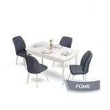 Canisa Mun Serisi 80x132 Açılabilir Mdf Beyaz Masa Takımı ve 4 Adet Füme Sandalye