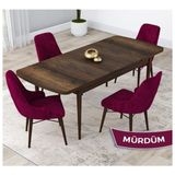 Canisa Nil Serisi Beyaz 70x110 cm Sabit Masa 4 Sandalye Bordo Mutfak Masası Takımı