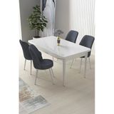 Canisa Nil Serisi Beyaz 70x110 CM Sabit Masa 4 Sandalye Füme Mutfak Masası Takımı
