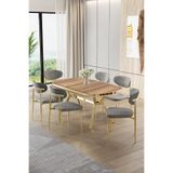 Canisa Olya Serisi 90x168 cm Lak Panel Hazar Masa Takımı, Gold Ayaklı, 6 Gri Sandalye