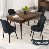 Canisa Rax Serisi 80x132 Açılabilir Beyaz Masa Ceviz Ayak Mutfak Masası Takımı ve 4 Adet Antrasit Sandalye