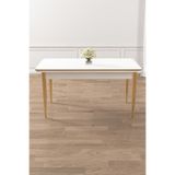 Canisa Rewa Serisi 70x110 cm Sabit Beyaz Gold Ayaklı Mutfak Masası