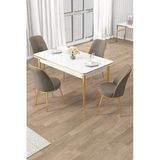 Canisa Rewa Serisi 70x110 Sabit Beyaz Gold Detay Masa Takımı ve 4 Cappucino Sandalye