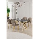 Canisa Rigel Serisi 80x130 cm Siyah Mermer Desen Masa Takımı, Gold Ayaklı, 4 Cappucino Sandalye