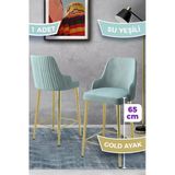 Canisa Tera Serisi 1 Adet Babyface Kumaş 65 cm Gold Kaplama Ayaklı Bar Sandalyesi - Su Yeşili