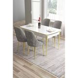 Canisa Tia Serisi 80X132 Açılabilir Mdf Gold Detay Beyaz Masa Takımı Ve 4 Gri Sandalye