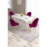 Canisa Ves Serisi 80x132 Mdf Beyaz Mutfak Masası Beyaz Kafesli 4 Mürdüm Sandalye Doğal Ahşap Ayaklı