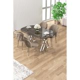 Canisa Zae Serisi 90x168 cm Lak Panel Antrasit İroni Masa, Krom Ayak, 4 Cappucino Sandalye