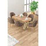 Canisa Zae Serisi 90x168 cm Lak Panel Hazar Gold Ayak Masa Takımı, 6 Kahve Sandalye