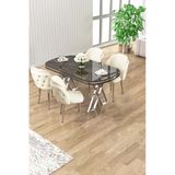 Canisa Zae Serisi 90X168 Lak Panel Antrasit Ironi Krom Ayak Masa Takımı 4 Krem Sandalye