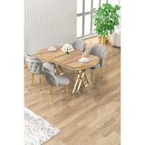 Canisa Zae Serisi 90X168 Lak Panel Hazar Gold Ayak Masa Takımı 4 Gri Sandalye