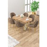 Canisa Zae Serisi 90x168 Lak Panel Hazar Gold Ayak Masa Takımı 6 Kahve Sandalye