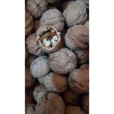 Canlar 1 kg Ceviz