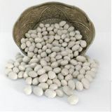 Canlar 1 kg Şeker Fasulye