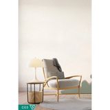 Canlı Sıva Ventrawall Krem Renk C03