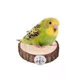 Canlipetshop Ağaç Dilim Kuş Tüneği 8-10 Cm Çap 3 Adet Çiftleşme Ve Dinlemeye Uygun