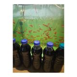 canlipetshop akvaryum Metilen Mavisi Mantar Ve Bakteri Çatışması Önleyici 500ml Koyu Kıvam