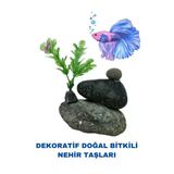 Canlipetshop Dekoratif Akvaryum Ve Fanus Dekoru Üçlü Doğal Taş Bitkili (10*7 Cm)
