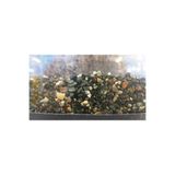 canlipetshop Dere Kumu (İnce) 1-2 Mm Akvaryum İçin Doğal Bitki Kumu 5 Kg