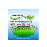 Canlipetshop Hops Akvaryum Için Canlı Bitki Tohumu Parvula