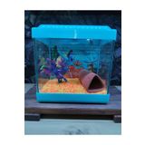canlipetshop Kare Mini Akvaryum MAVİ Renk 20x20x15 cm